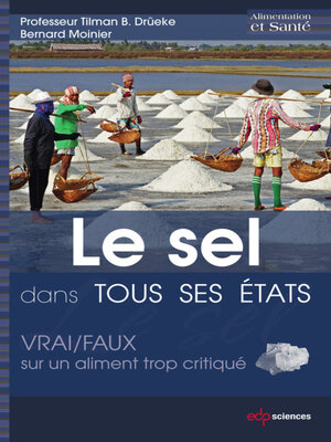 cover image of Le sel dans tous ses états